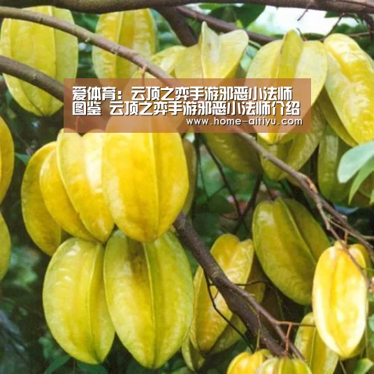 爱体育:云顶之弈手游邪恶小法师图鉴 云顶之弈手游邪恶小法师介绍(图1) 爱体育