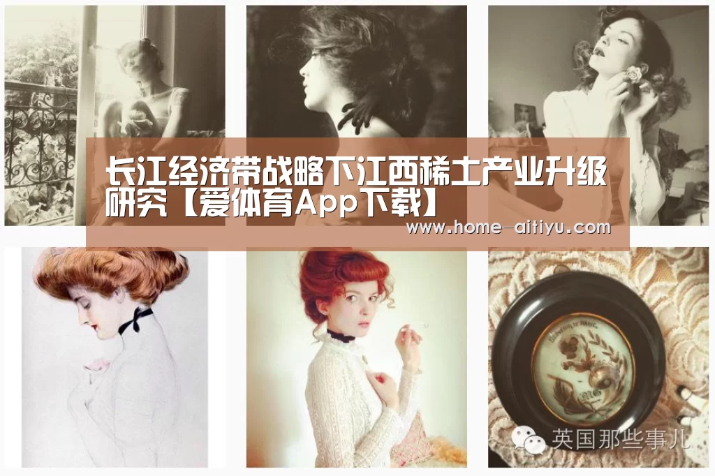 长江经济带战略下江西稀土产业升级研究【爱体育App下载】(图1) 爱体育