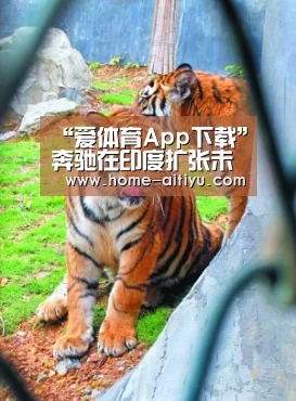 “爱体育App下载”奔驰在印度扩张未来两年计划推出10款电动汽车(图3) 爱体育App下载