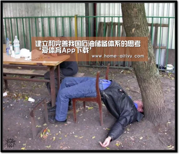 建立和完善我国石油储备体系的思考‘爱体育App下载’(图2) 爱体育App下载